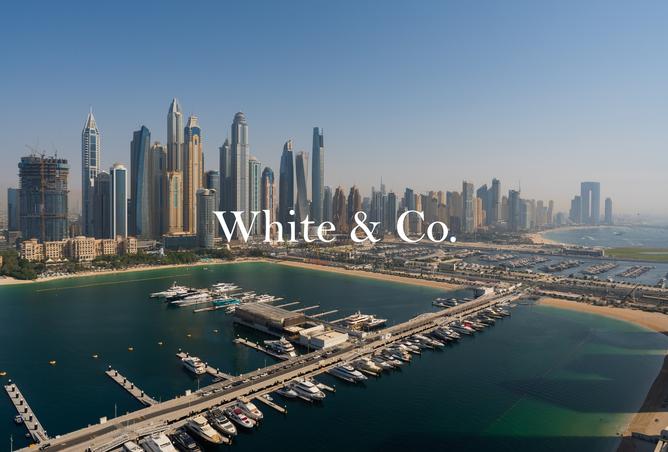15324699 - صورة العقار 3