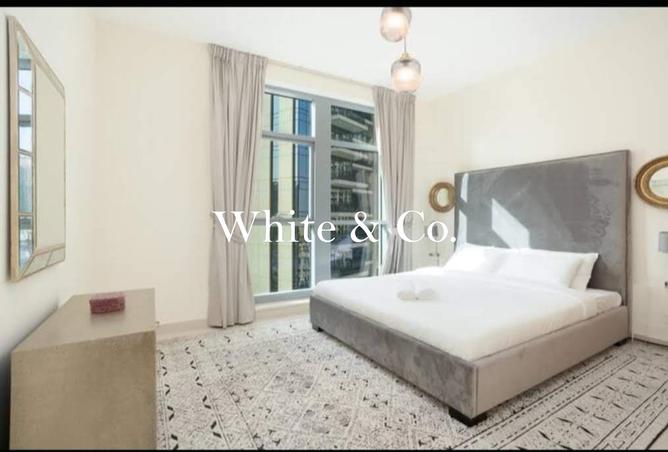 15656504 - Property Image 2