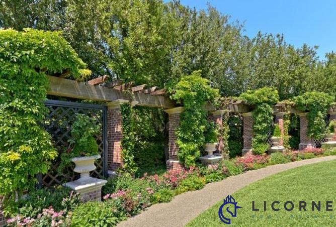 15532350 - Property Image 3