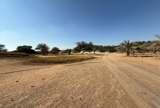 15705170 - Property Image 3