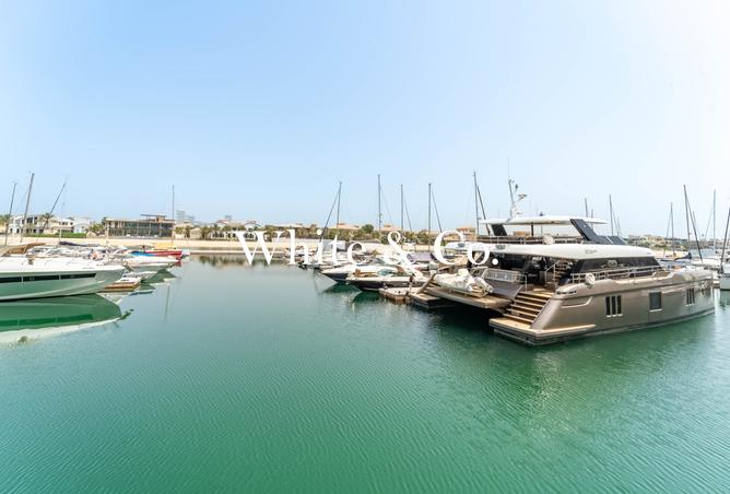 15701298 - صورة العقار 2