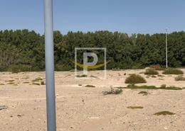 صورةحديقة لـ: أرض للبيع في ماديسون رزدنسز - مجان - دبي, صورة 1