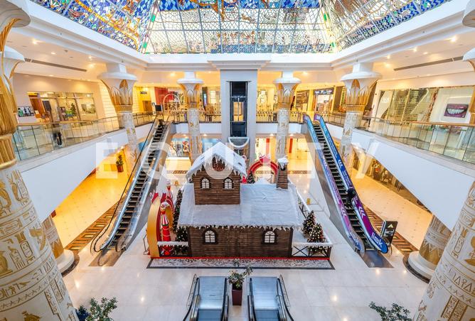 16054957 - Property Image 3