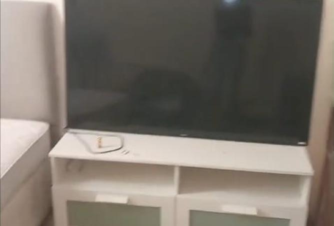 15952879 - Property Image 3