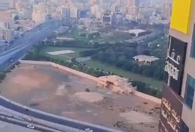 15949500 - Property Image 2