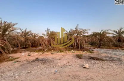 أرض - استوديو للبيع في الزاهية جاردنز - الزاهية - عجمان