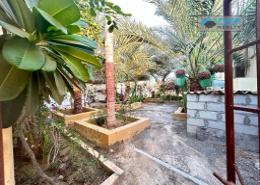 Garden image for: Villa - 6 bedrooms - 7 bathrooms for rent in Al Riffa - Ras Al Khaimah, Image 1