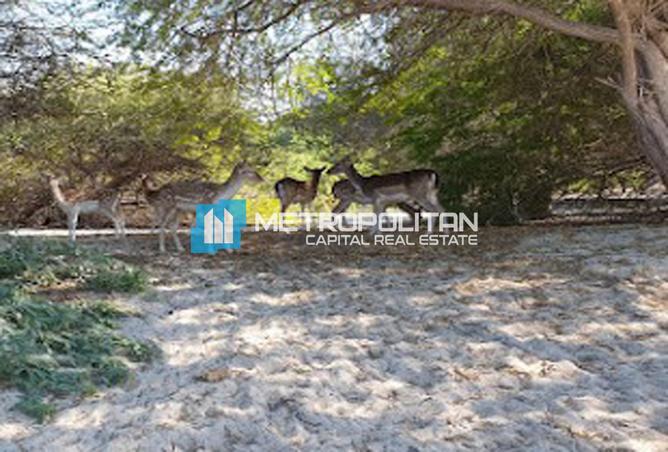 15770044 - Property Image 3