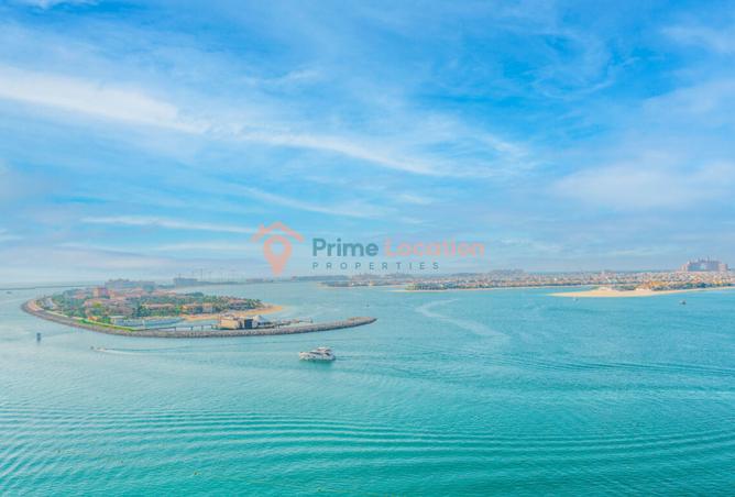 16097175 - صورة العقار 3