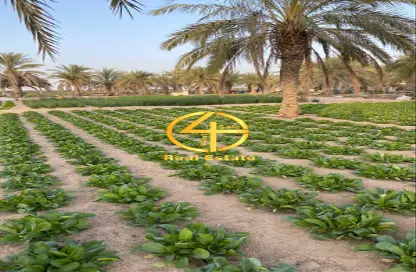 Garden image for: Farm - Studio for sale in Al Ajban - Abu Dhabi, Image 1