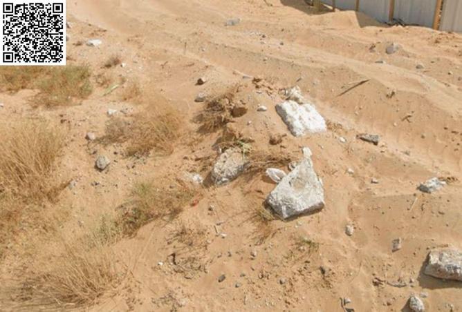 15641979 - صورة العقار 3