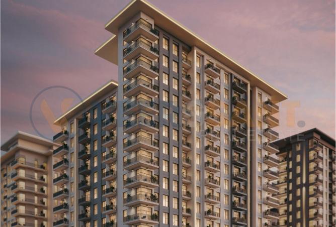 15557572 - Property Image 3