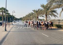 Villa - 4 bedrooms - 4 bathrooms for rent in Al Habtoor Polo Resort and Club - The Residences - Dubai Land - Dubai