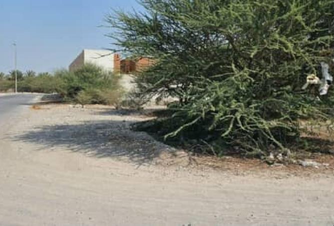 15369429 - صورة العقار 2