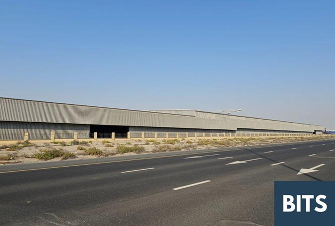 16064624 - صورة العقار 3