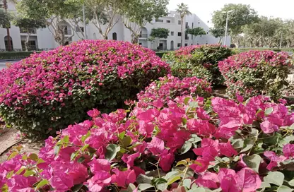 Apartment - 2 Bedrooms - 2 Bathrooms for rent in The Gardens Buildings - The Gardens - Dubai