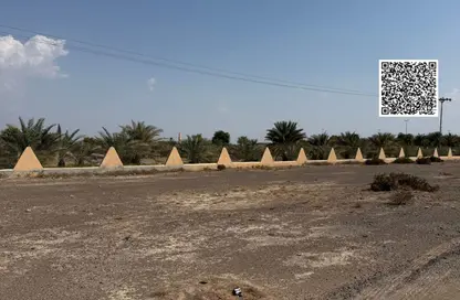 أرض - استوديو للبيع في المنامة - عجمان