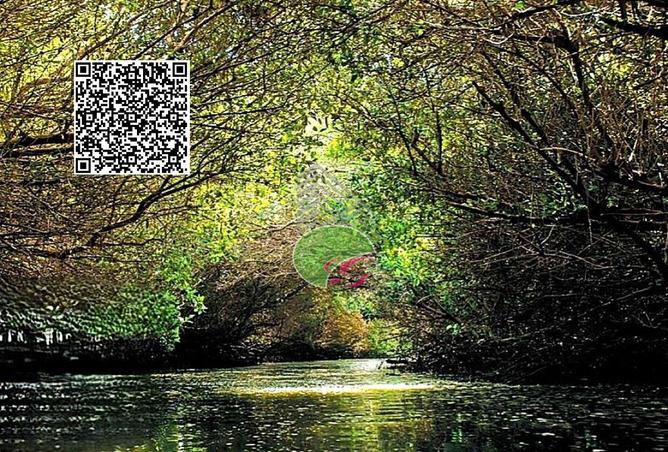 15404000 - Property Main Image