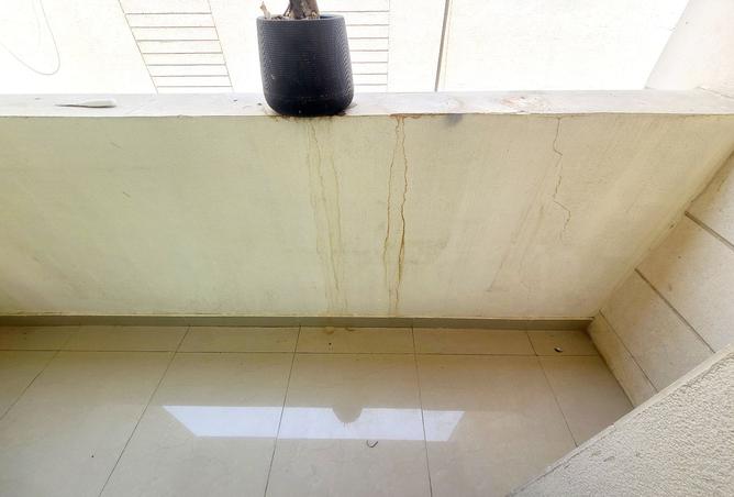 15628807 - صورة العقار 3