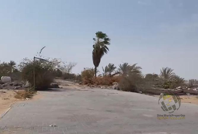 15580154 - Property Image 2