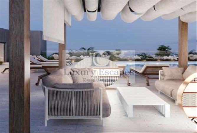 15391812 - Property Image 2