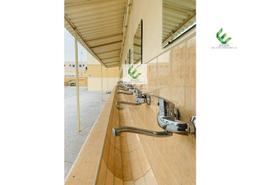 Labor Camp for rent in M-36 - Mussafah Industrial Area - Mussafah - Abu Dhabi