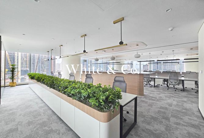 15593208 - Property Image 3