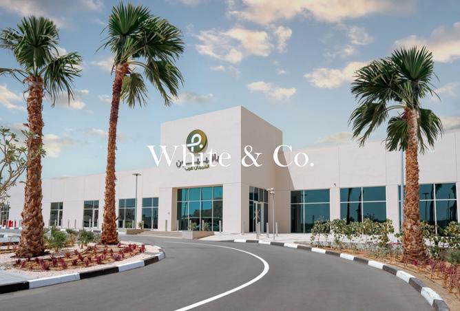 15855016 - Property Image 3