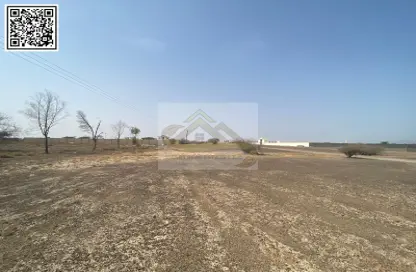أرض - استوديو للبيع في المنامة - عجمان