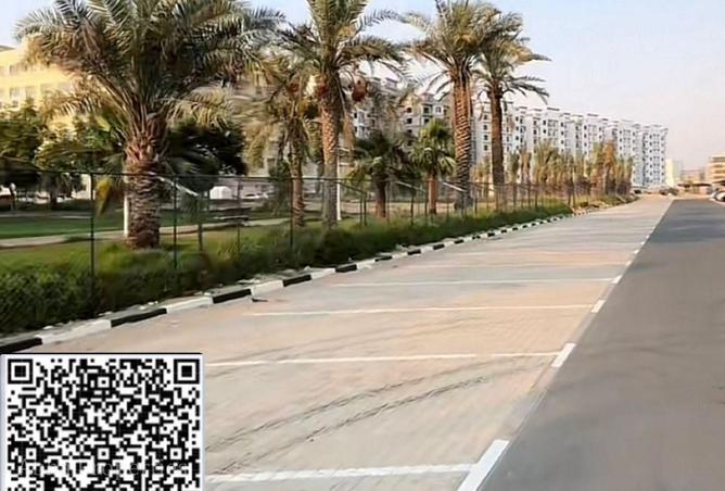 16039862 - Property Image 3