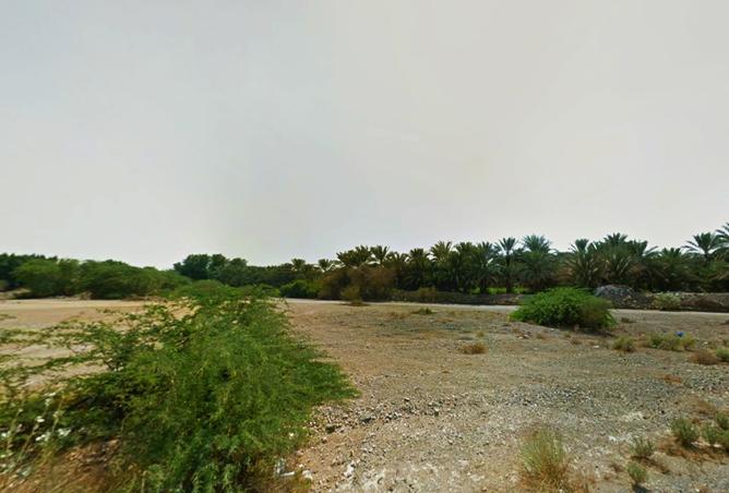 15743389 - Property Image 3