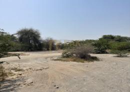 Land for rent in Al Qusaidat - Ras Al Khaimah