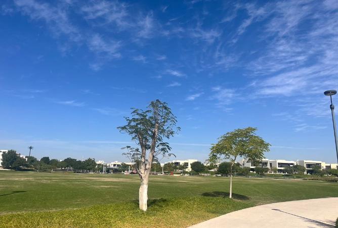 15975890 - صورة العقار 3