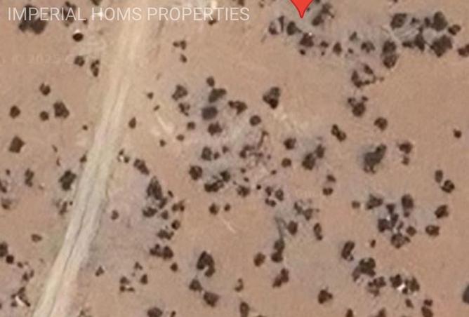 15824469 - Property Image 3