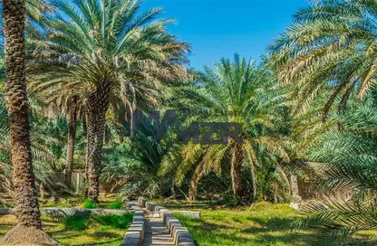 Farm - Studio for sale in Al Sad - Al Ain