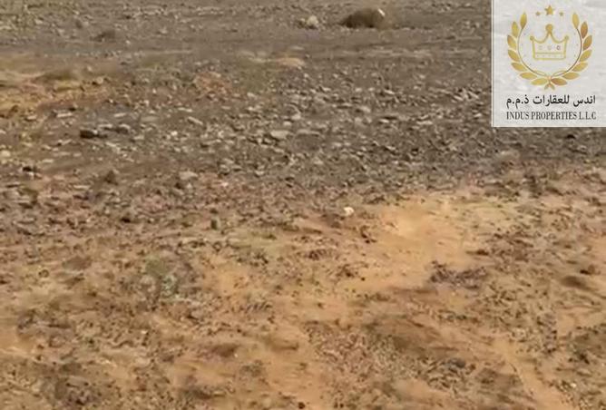 15217739 - صورة العقار 3