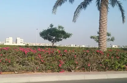 Land - Studio for sale in Jebel Ali Hills - Jebel Ali - Dubai Land - Studio for sale in Jebel Ali Hills - Jebel Ali - Dubai