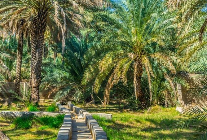 15213776 - صورة العقار 2