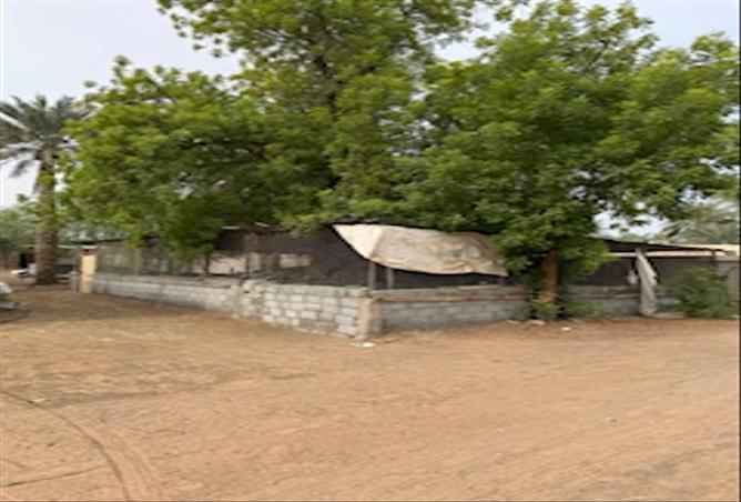 15262532 - Property Image 2