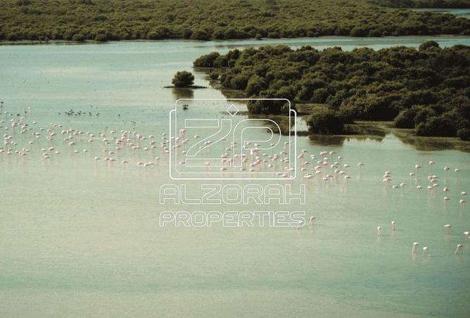 16030610 - صورة العقار 3