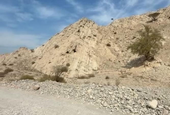 15891187 - الصورة الرئيسية للعقار