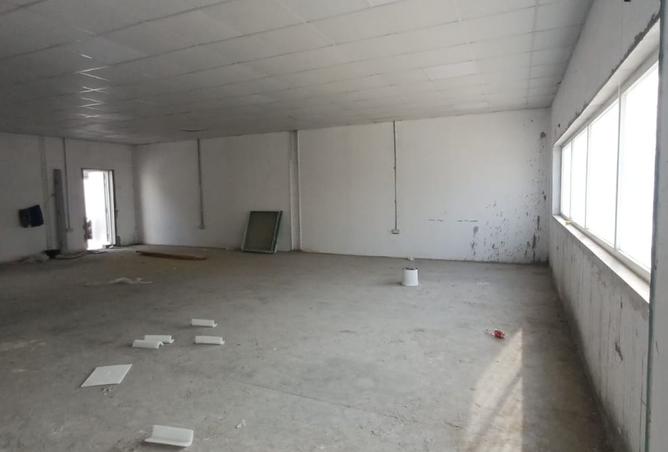 15464048 - Property Image 3