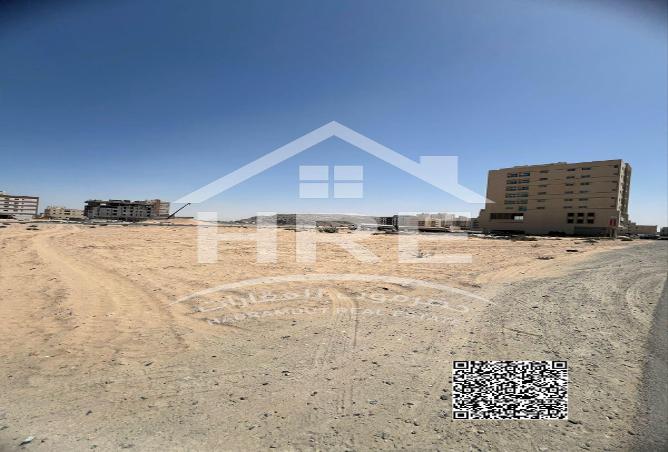 14589829 - Property Image 3