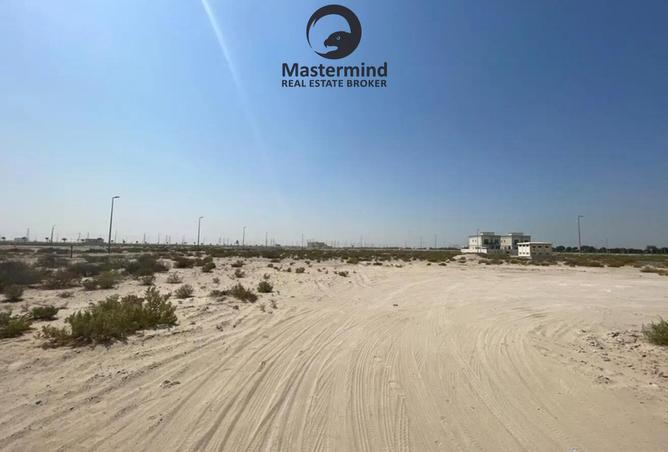 15788754 - Property Image 3