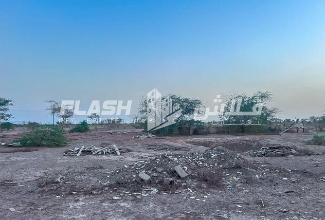 15524013 - Property Image 3