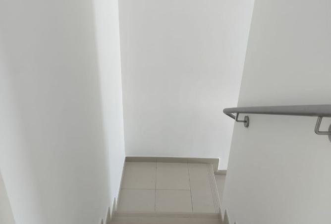 15939874 - Property Image 3