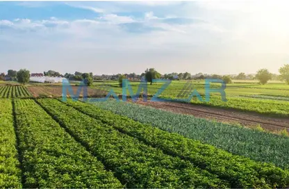 Farm for sale in Ajban | Spacious area |