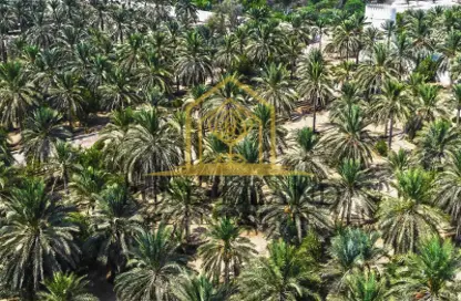 Land - Studio for sale in Al Jurf Gardens - AlJurf - Ghantoot - Abu Dhabi