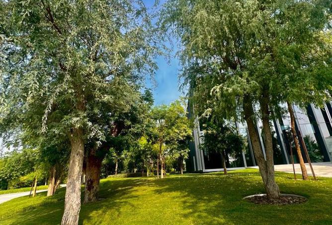 15617572 - Property Image 3