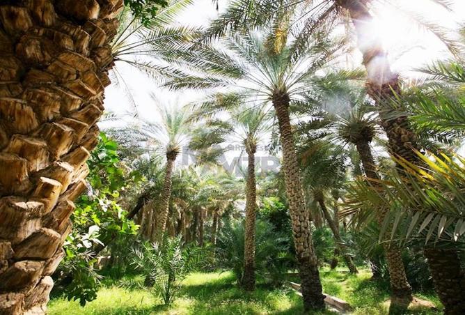 15397459 - صورة العقار 3